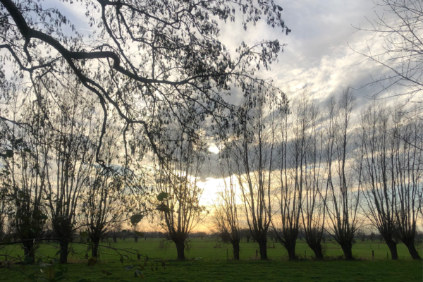 Wandeling door je darmen